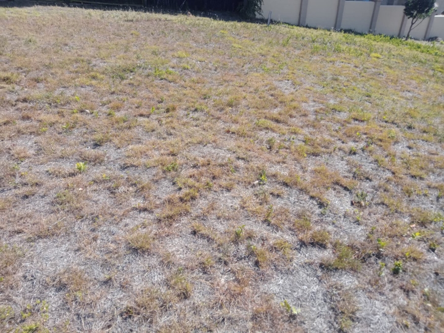 Commercial Property for Sale in Aston Bay Eastern Cape